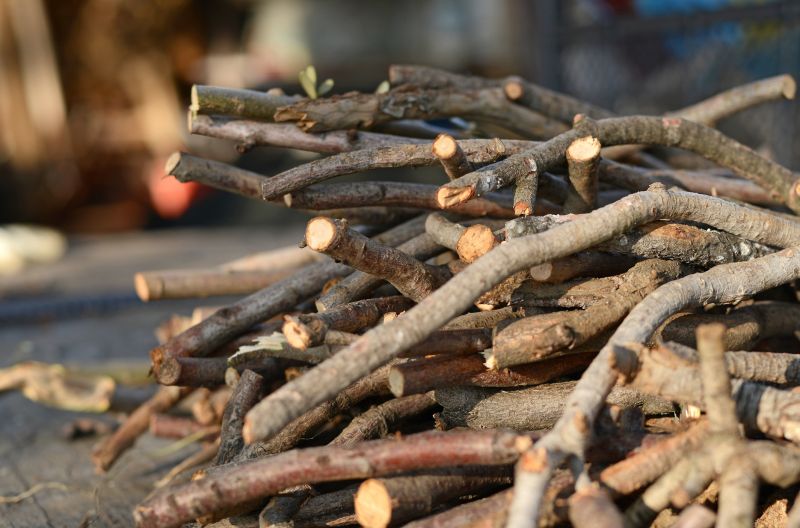 Eco-Friendly Options