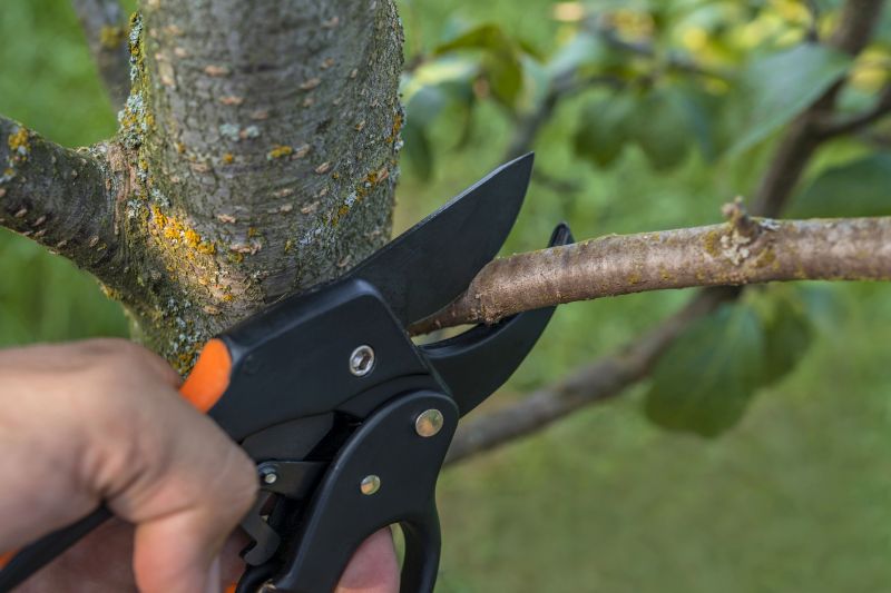 Pruning Large Branches